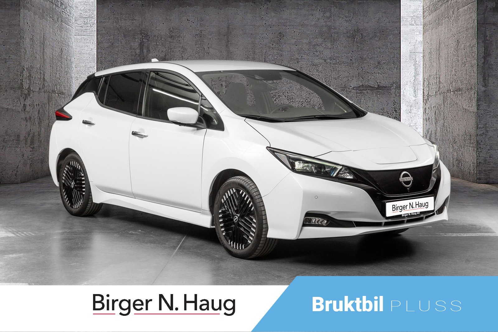Brukt Nissan Leaf 