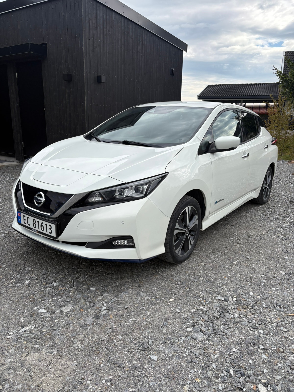 Brukt Nissan Leaf 