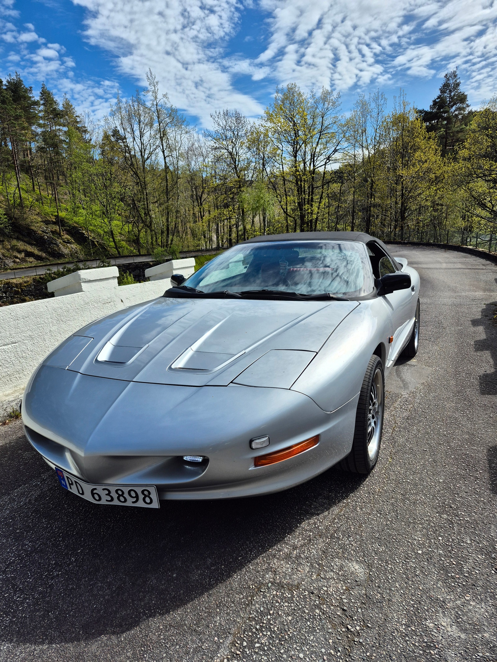 Brugt Pontiac Firebird 3.4