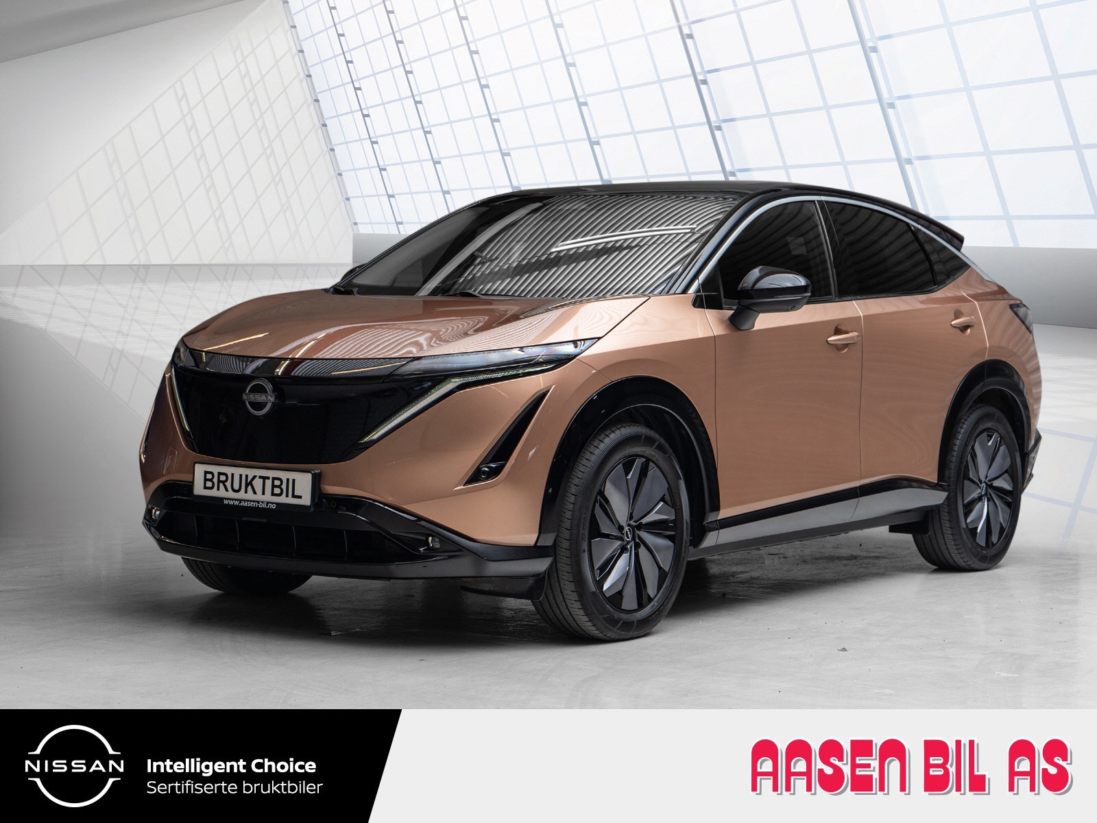 Brukt Nissan Ariya 