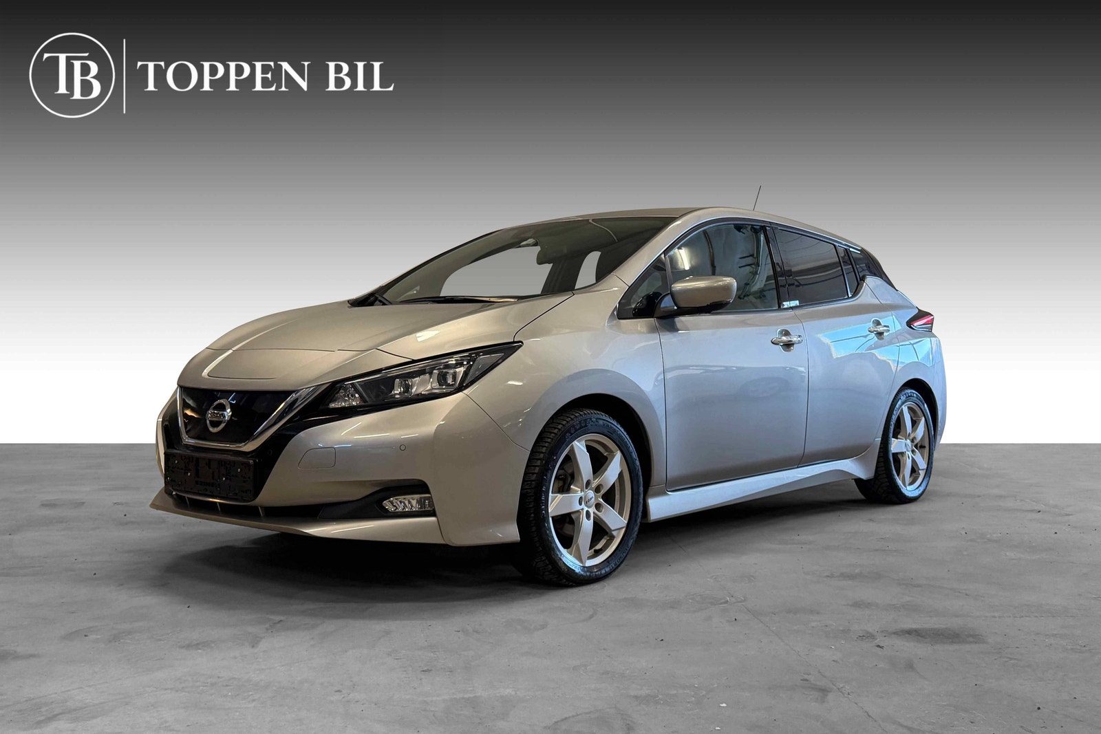 Brukt Nissan Leaf 