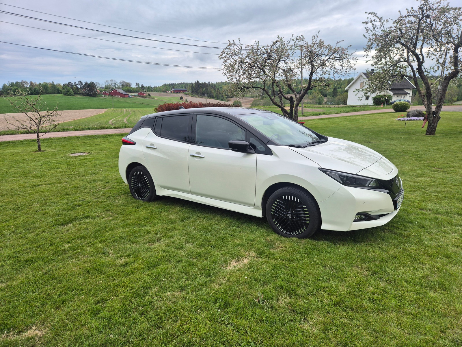 Brukt Nissan Leaf 