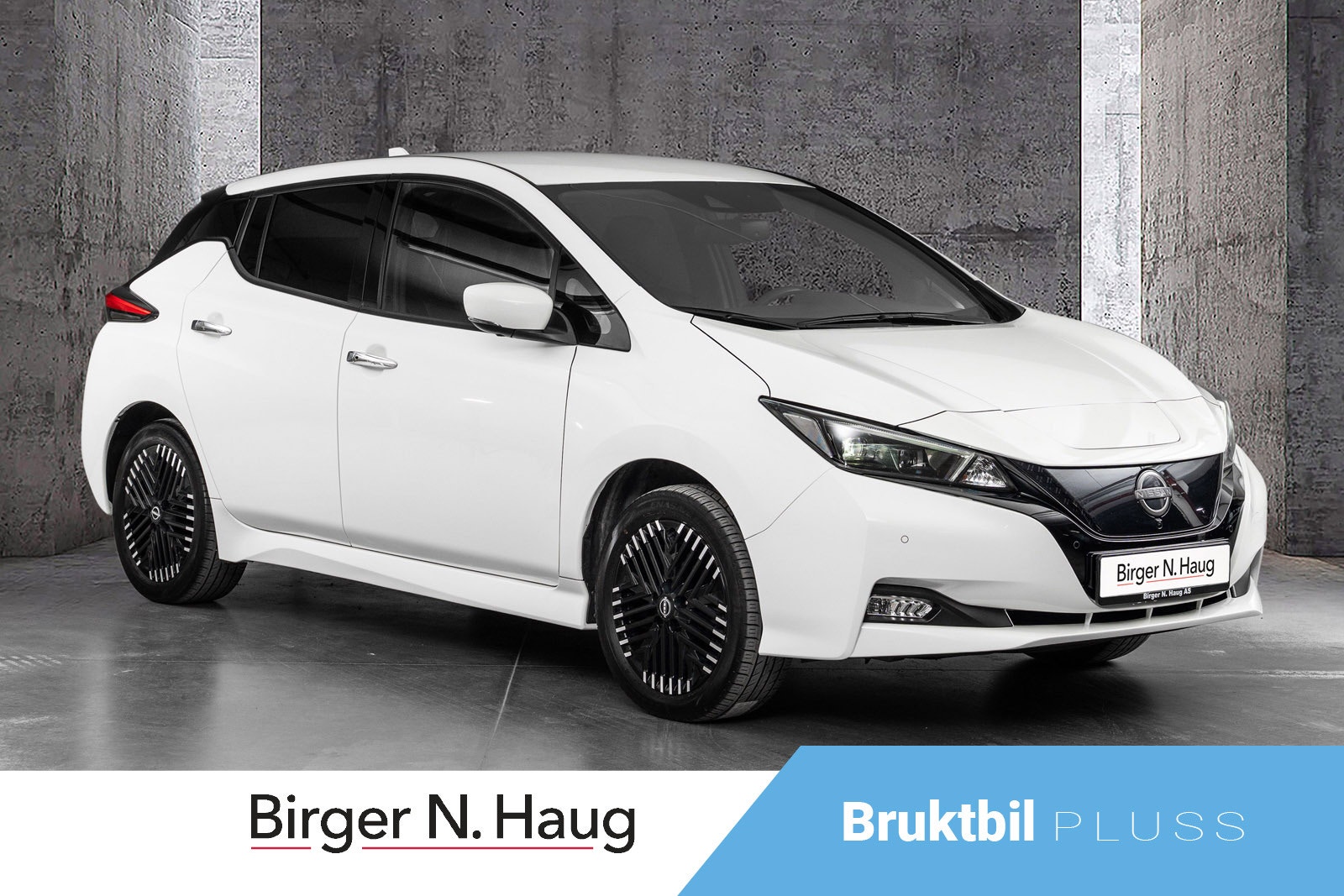 Brukt Nissan Leaf 