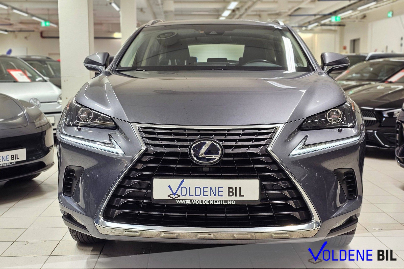 Brukt Lexus Nx 300h