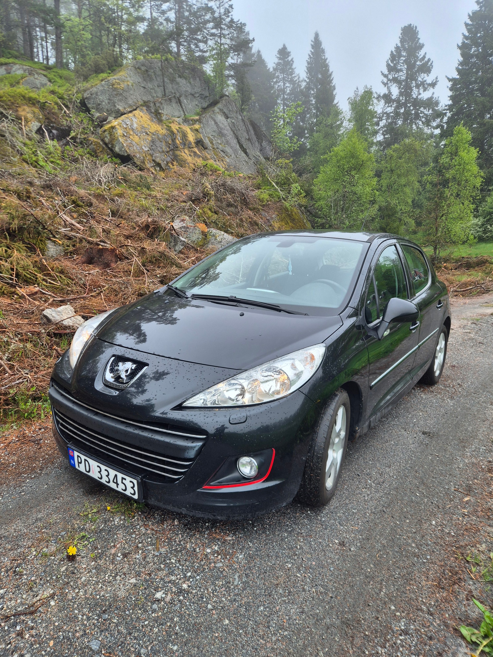 Brukt Peugeot 207 1.6