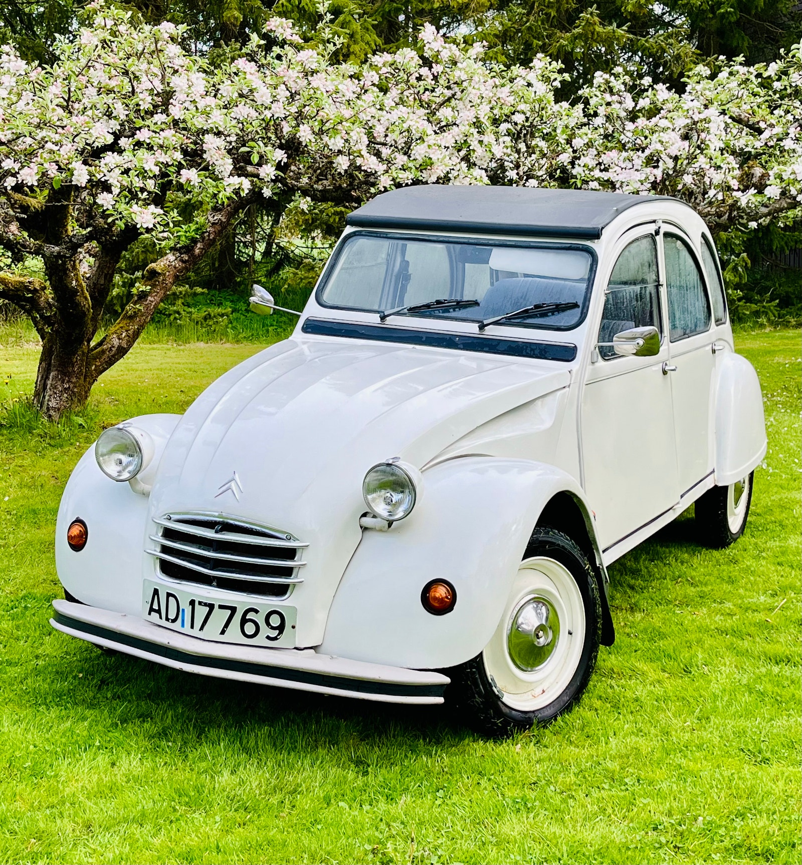 Brukt Citroen 2cv 