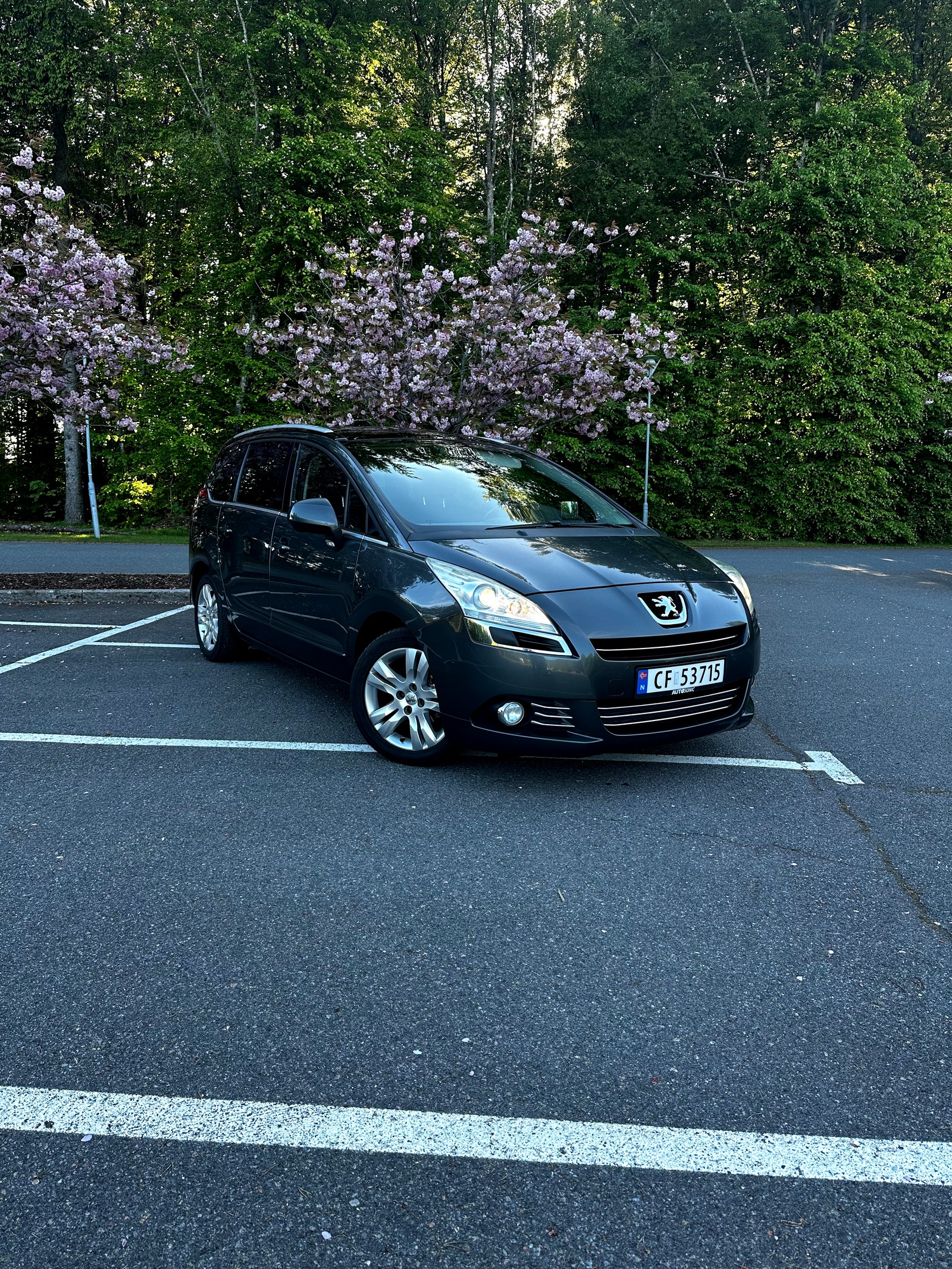 Brukt Peugeot 5008 1.6