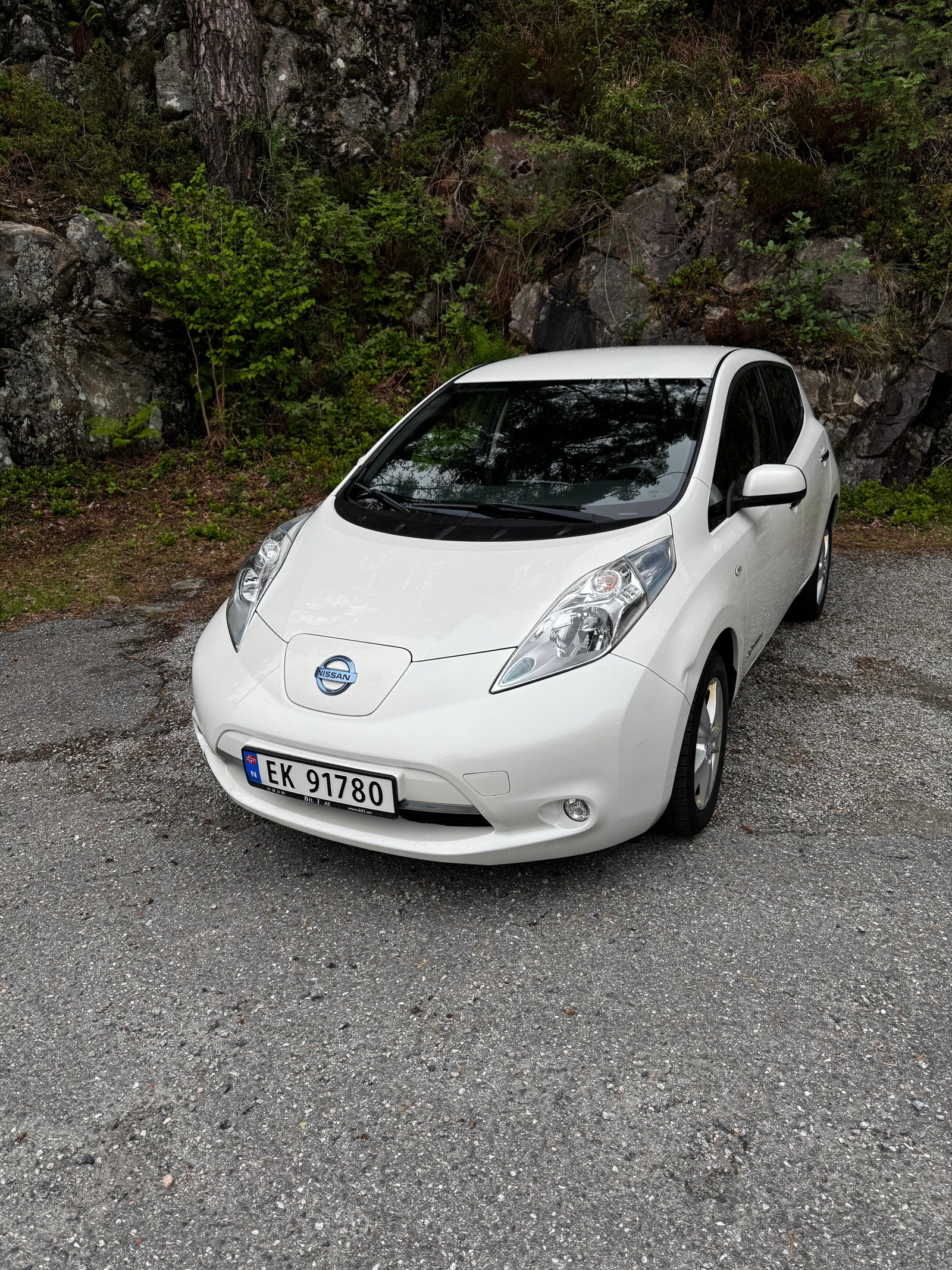 Brukt Nissan Leaf 