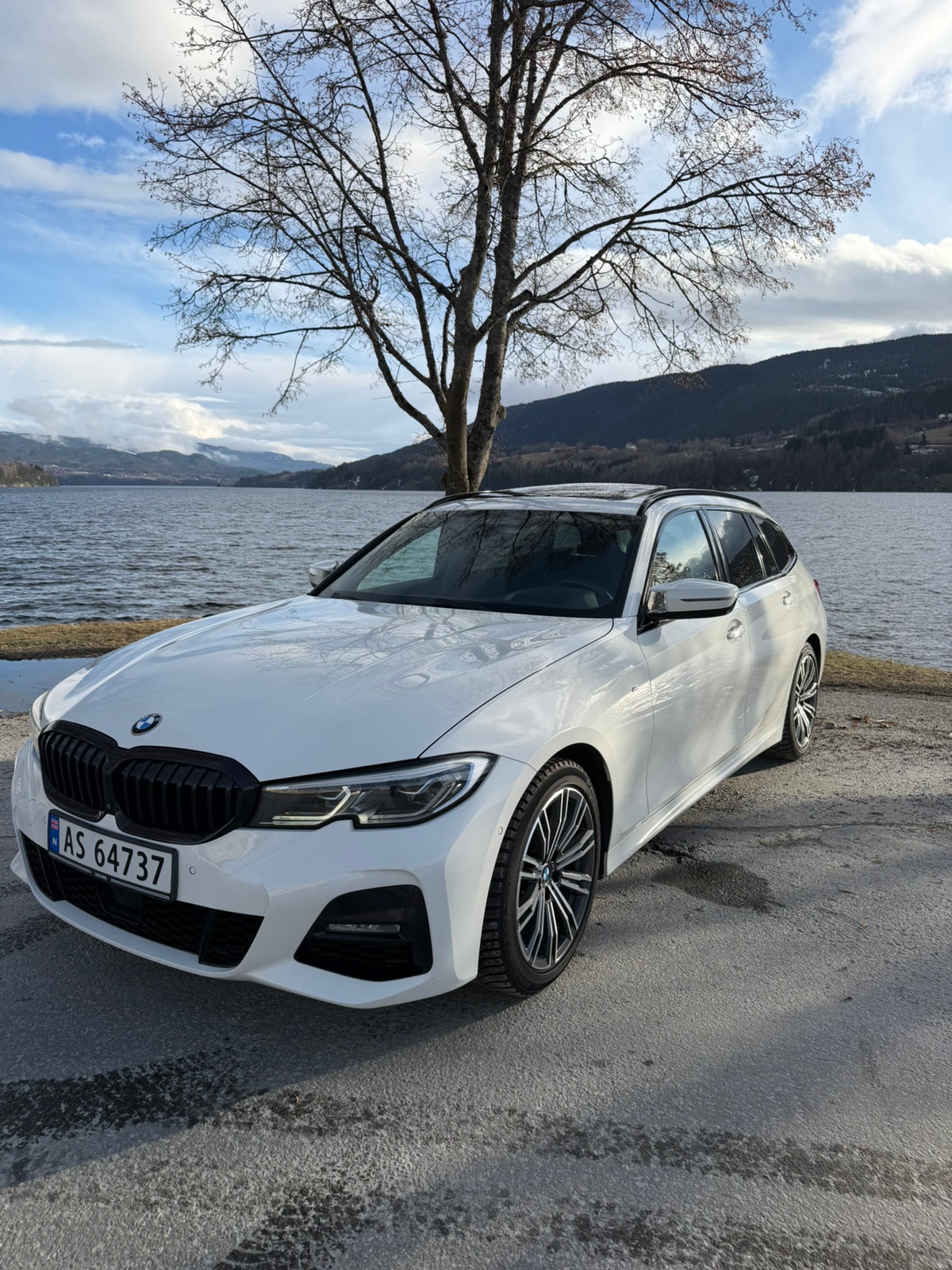 Brugt Bmw 3 Series 