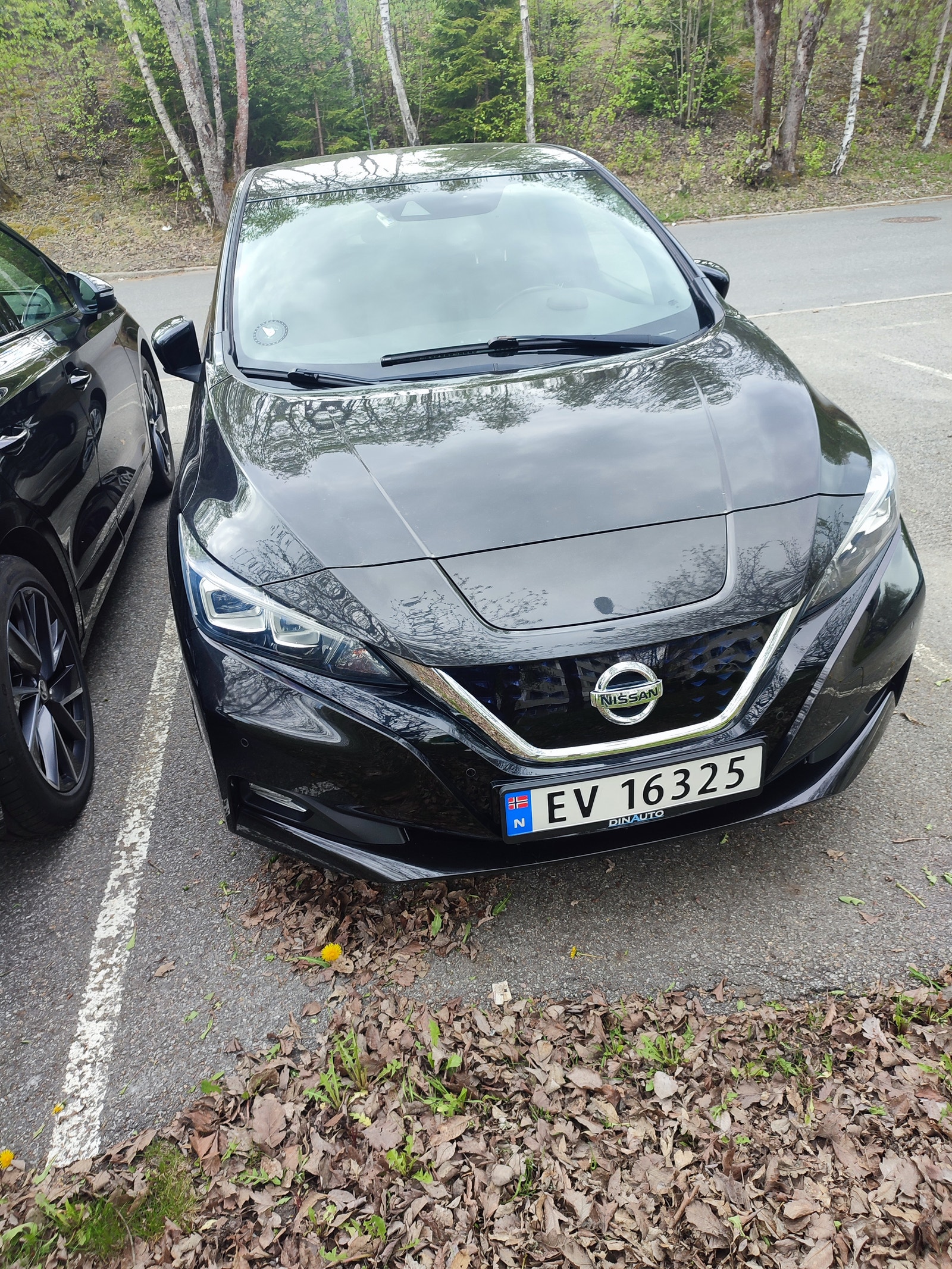 Brukt Nissan Leaf 