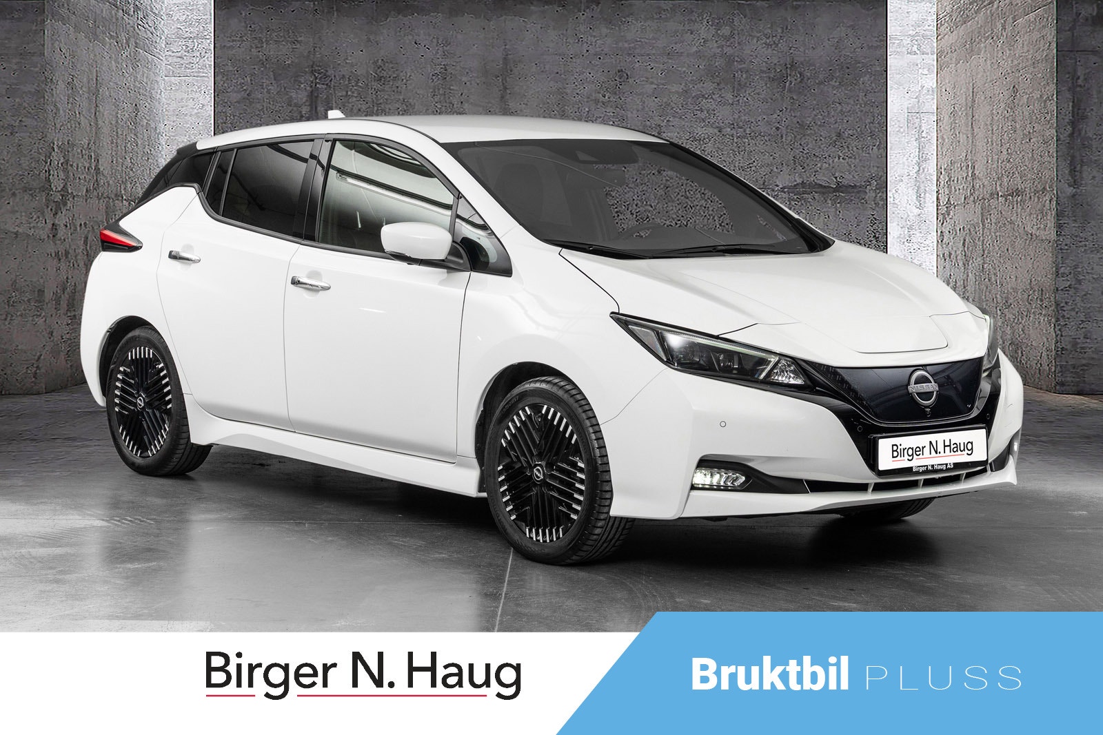Brukt Nissan Leaf 