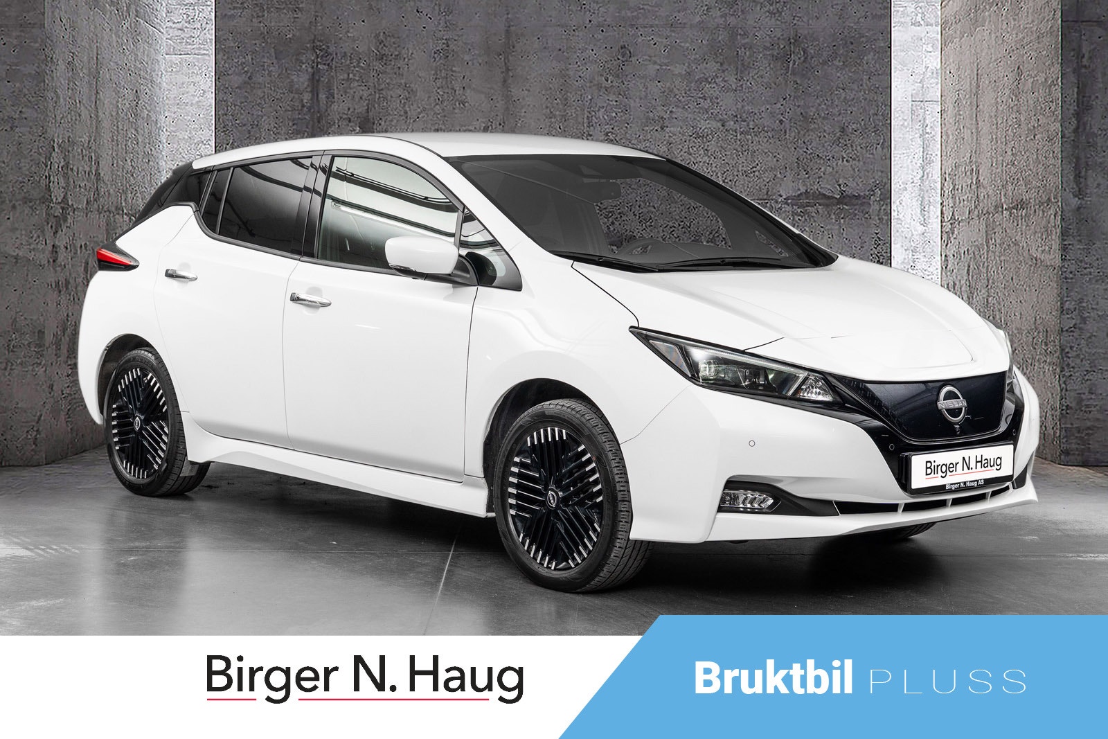 Brukt Nissan Leaf 