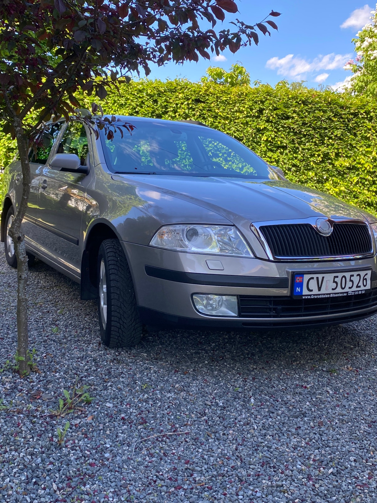Brukt Škoda Octavia 1.9