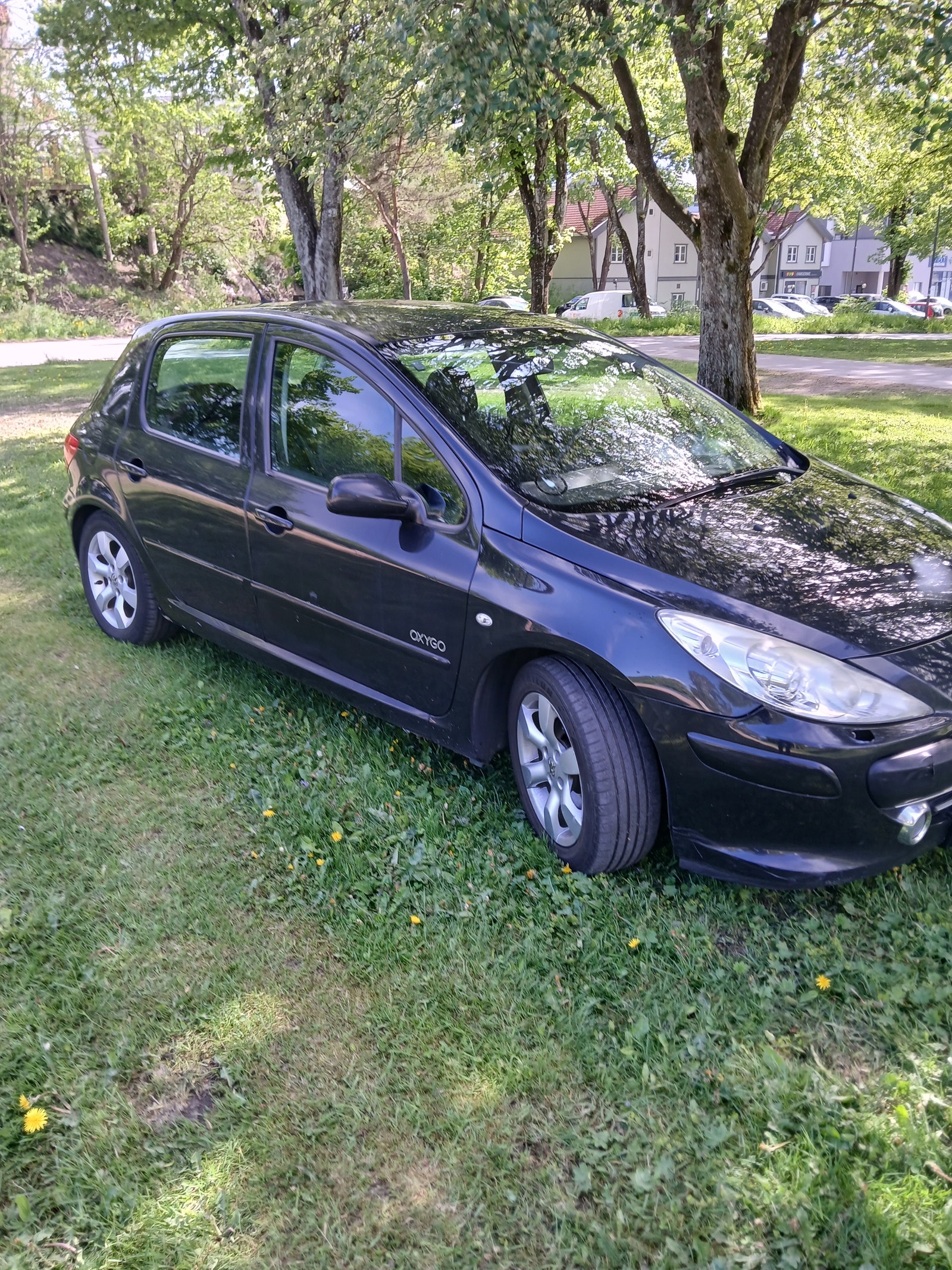 Brukt Peugeot 307 1.6