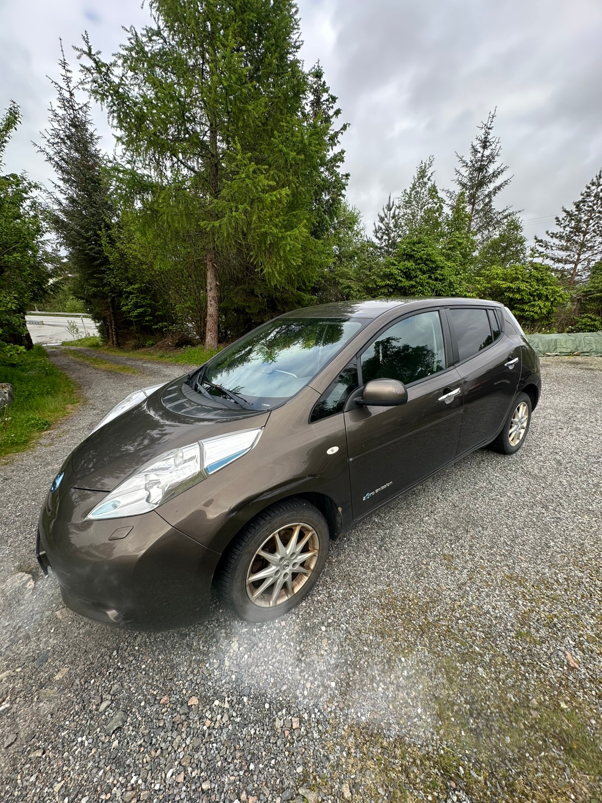 Brukt Nissan Leaf 