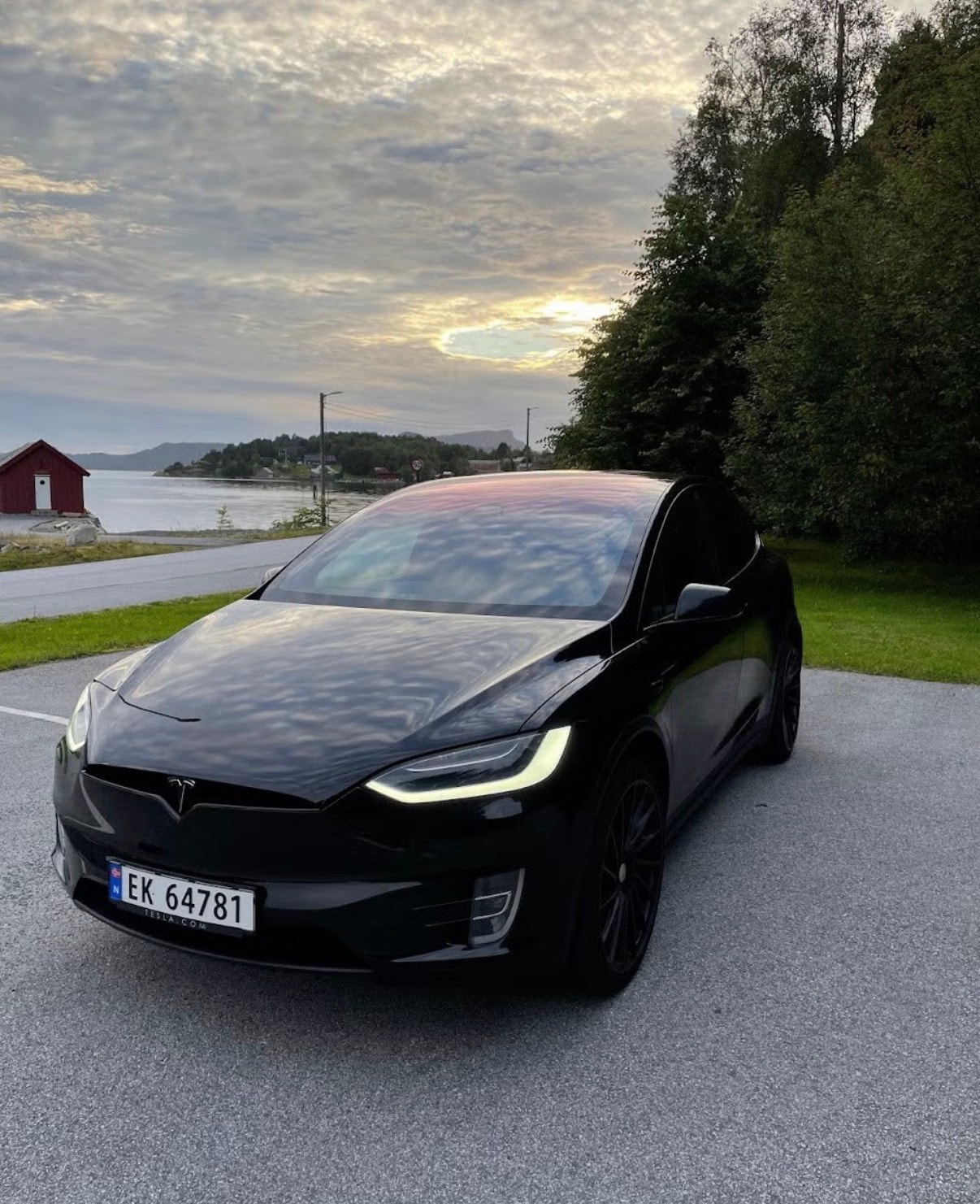 Brukt Tesla Model X electro