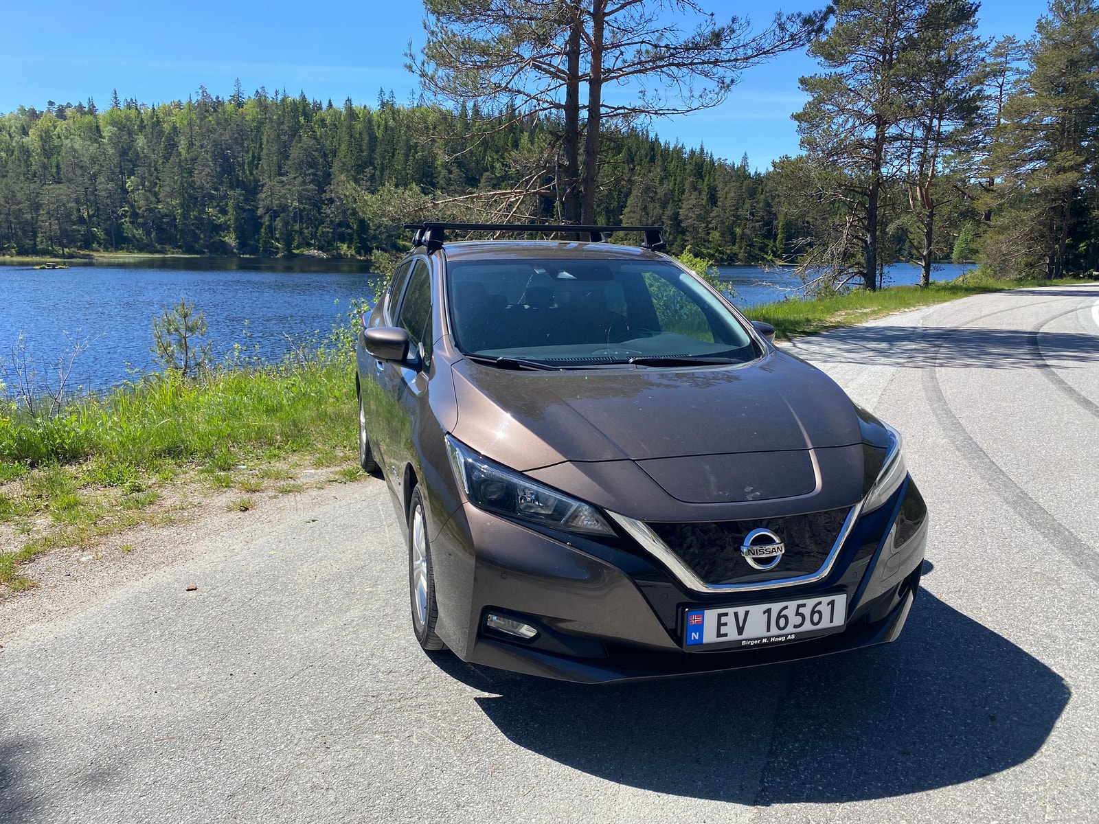 Brukt Nissan Leaf 