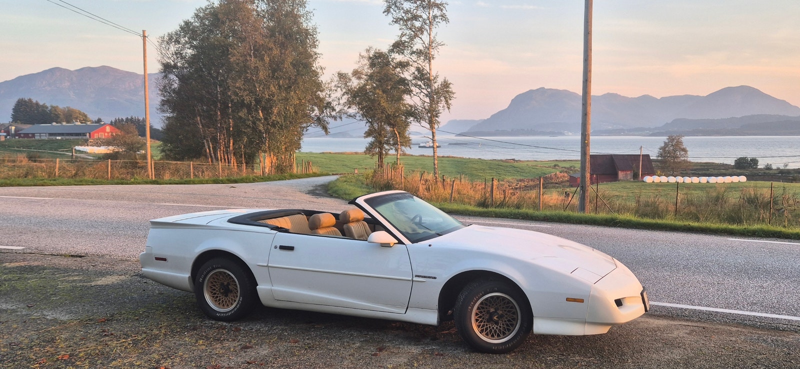 Brukt Pontiac Firebird 