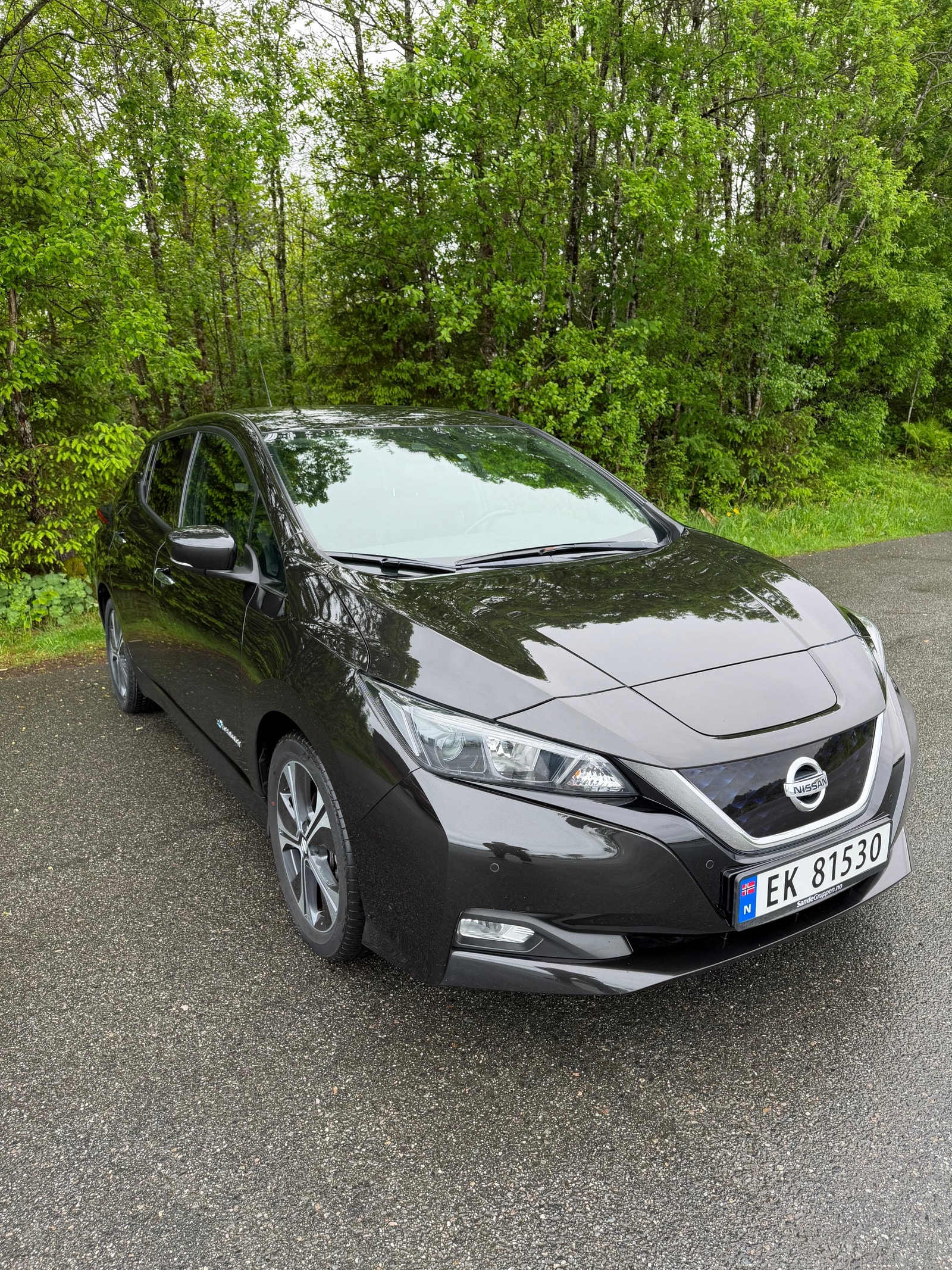 Brukt Nissan Leaf 
