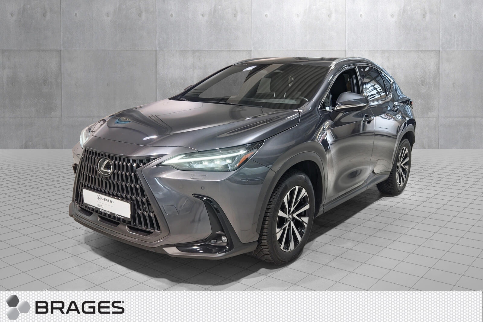 Brukt Lexus Nx 450h+