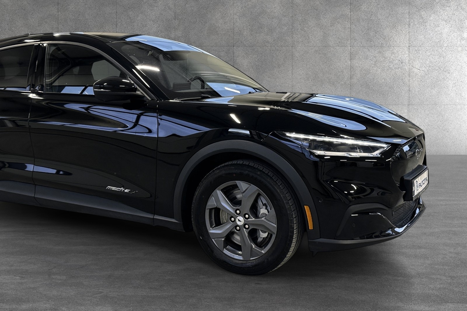 Ford Mustang Mach-E - Photo 2