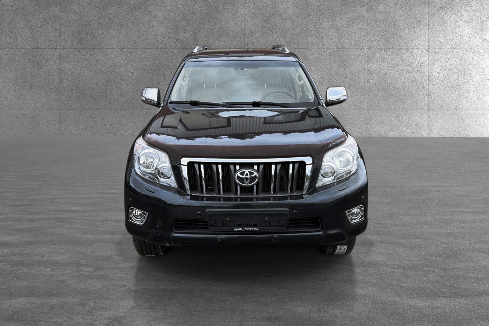 Toyota Land Cruiser - Photo 2