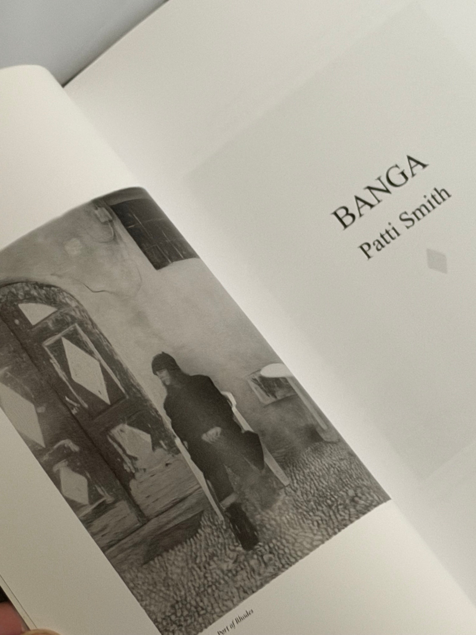 Patti Smith – Banga (Special Edition CD) | FINN-torget