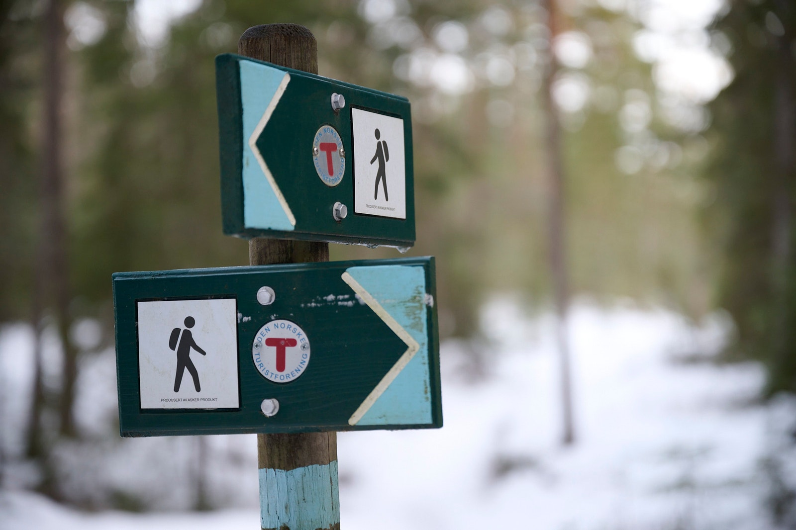 Turstier og skiløyper rundt hele Kvitre