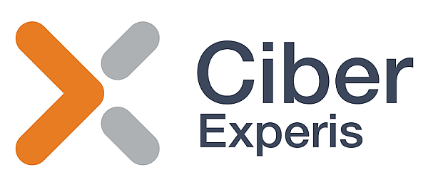 INAKTIV-Experis Ciber