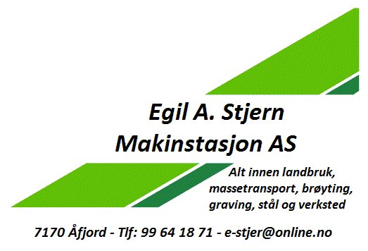 Egil A. Stjern Maskinstasjon AS