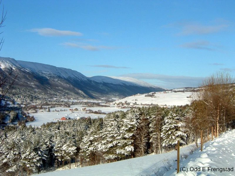 Ut over bygda Galleribilde