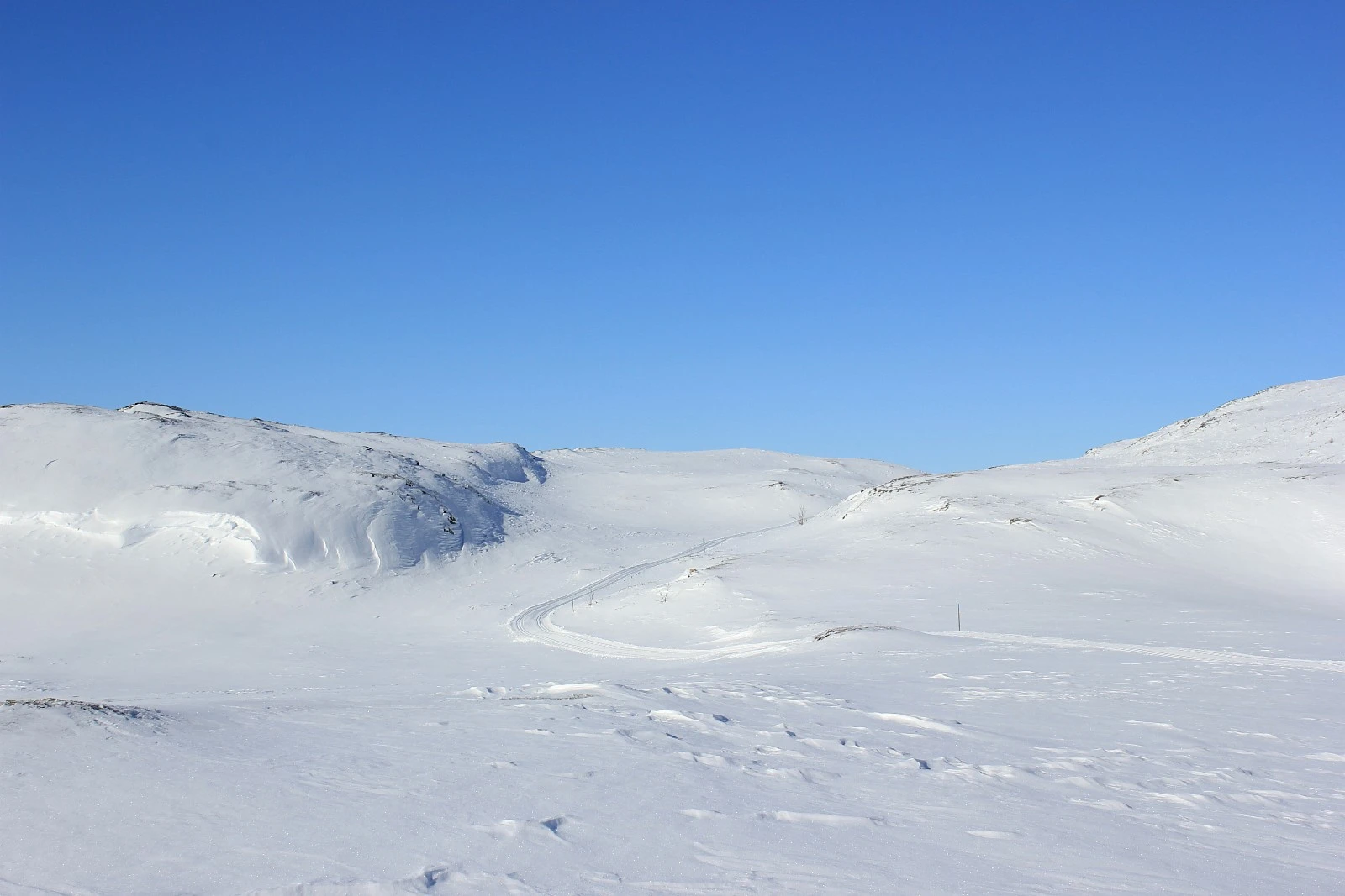 Flott turterreng Galleribilde