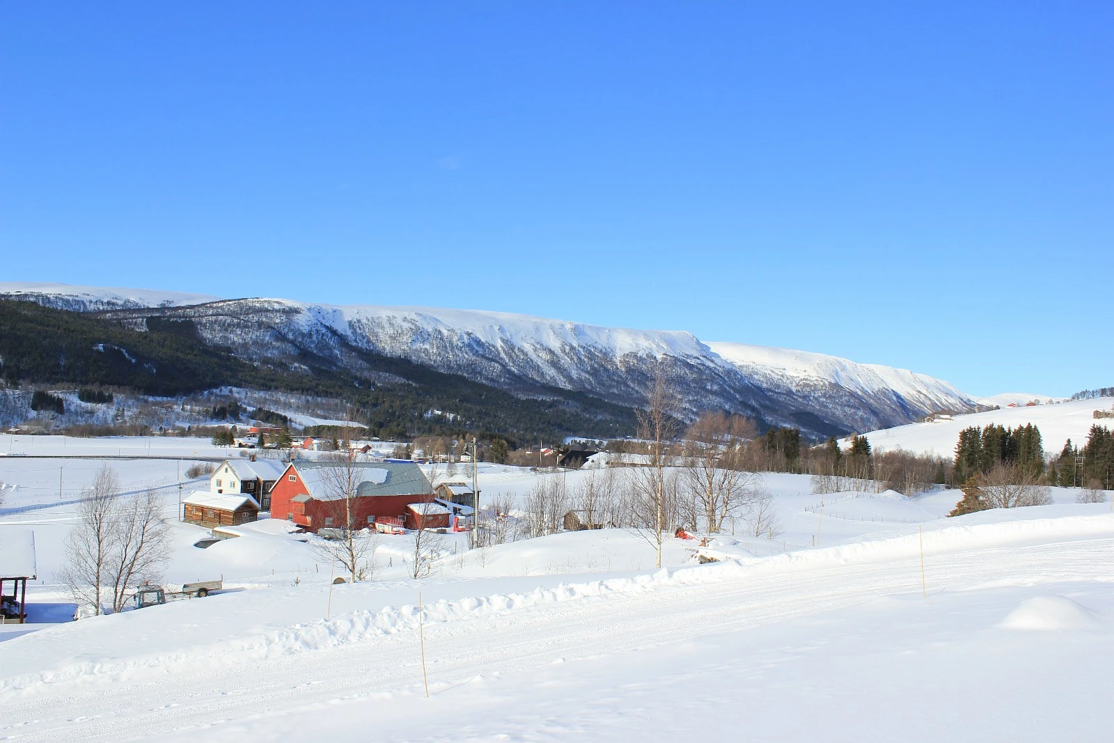 Utsikt fra veranda Galleribilde