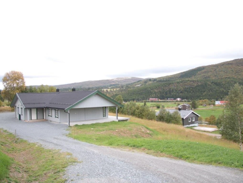 Nedkjøring til boligen Galleribilde