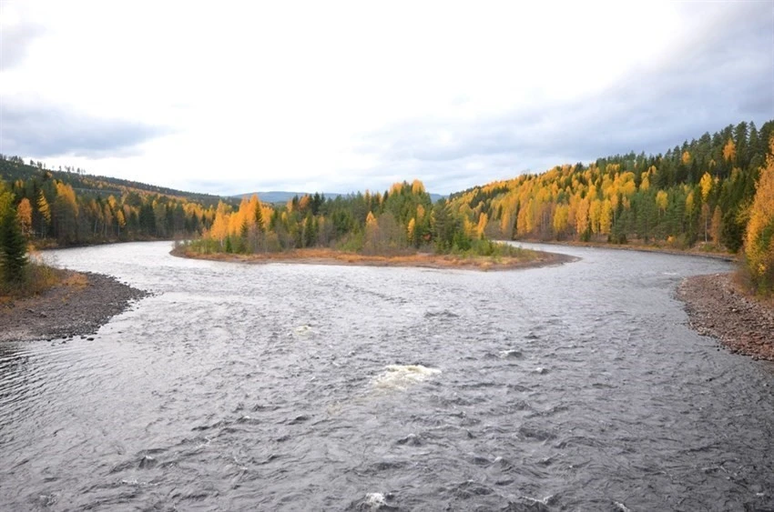 3000621_1-b Galleribilde