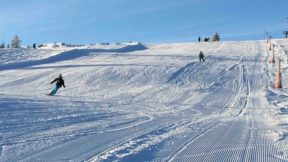 Orren 10B Bakke 5 Galleribilde