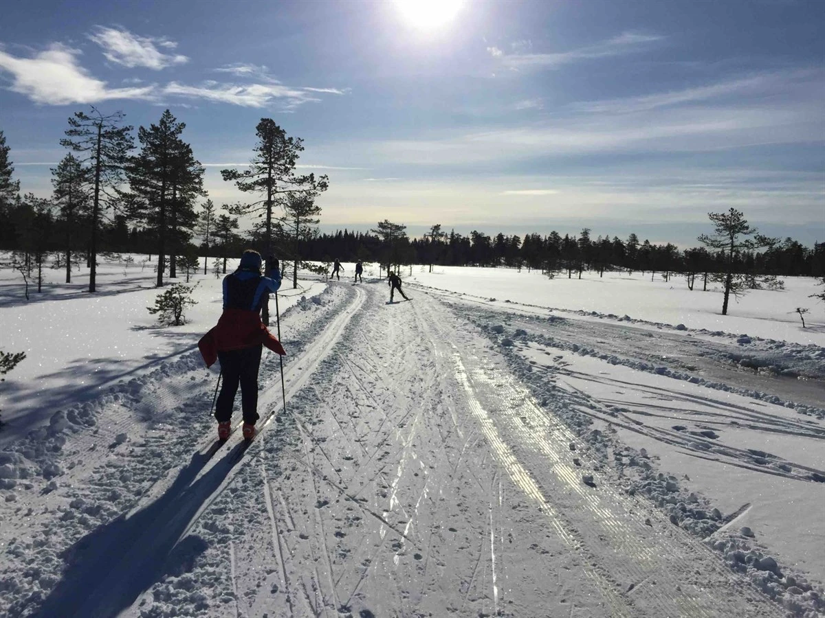 Orren 10B Bakke 6 Galleribilde