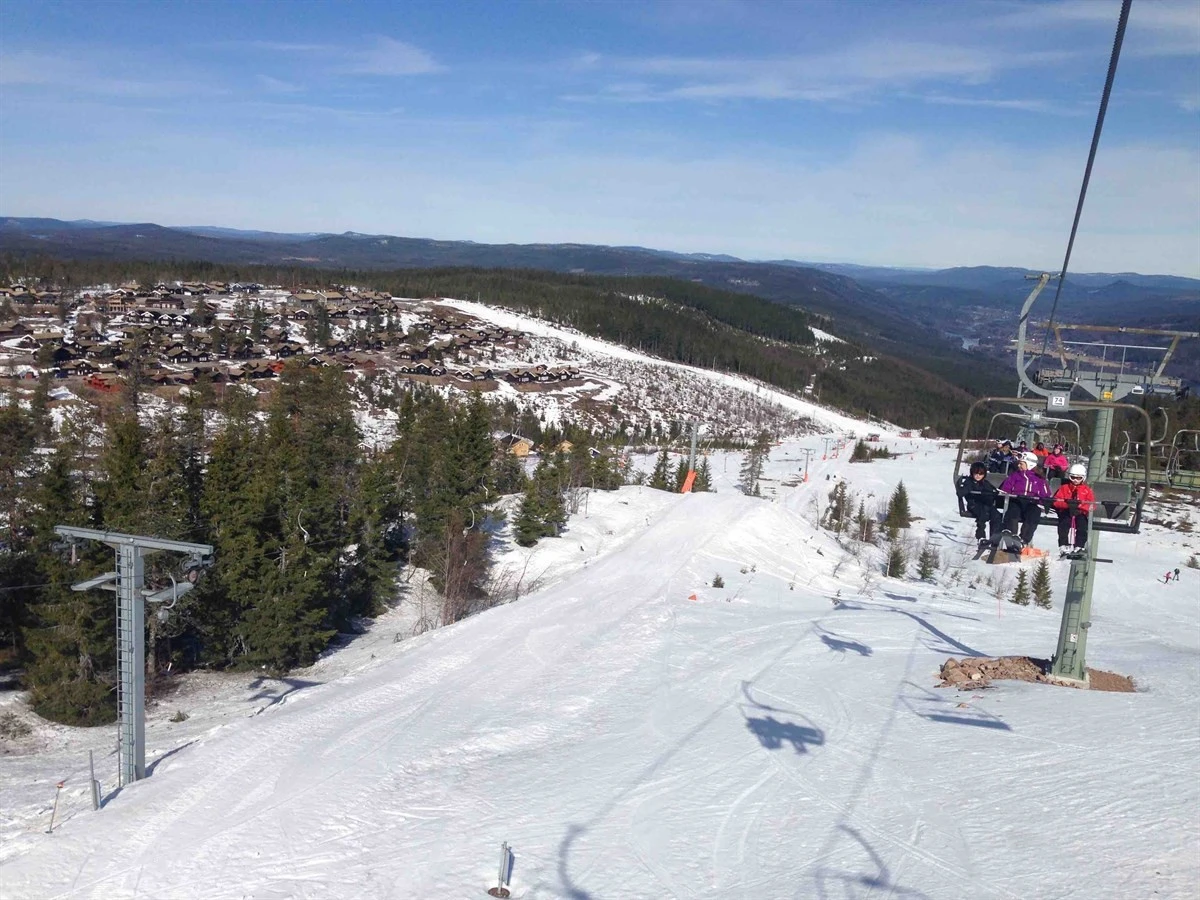 Orren 10B Bakke 3 Galleribilde