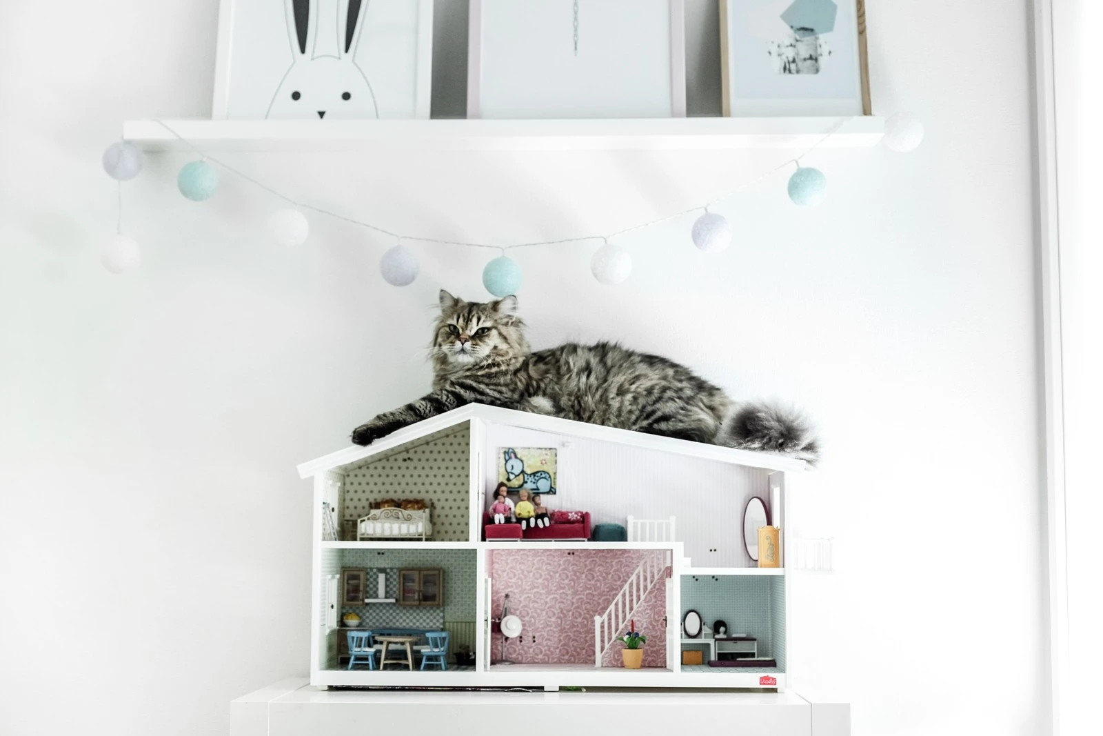 Pelle på soverommet Galleribilde