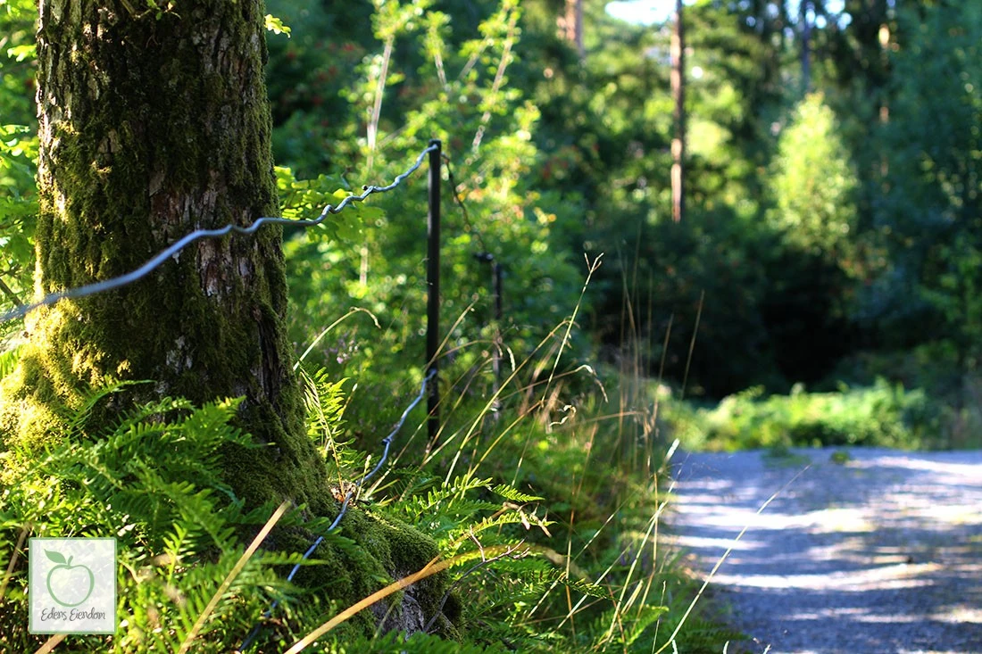 Nærområde Galleribilde