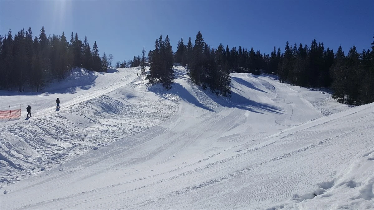 Skitrekk på Høgås Galleribilde