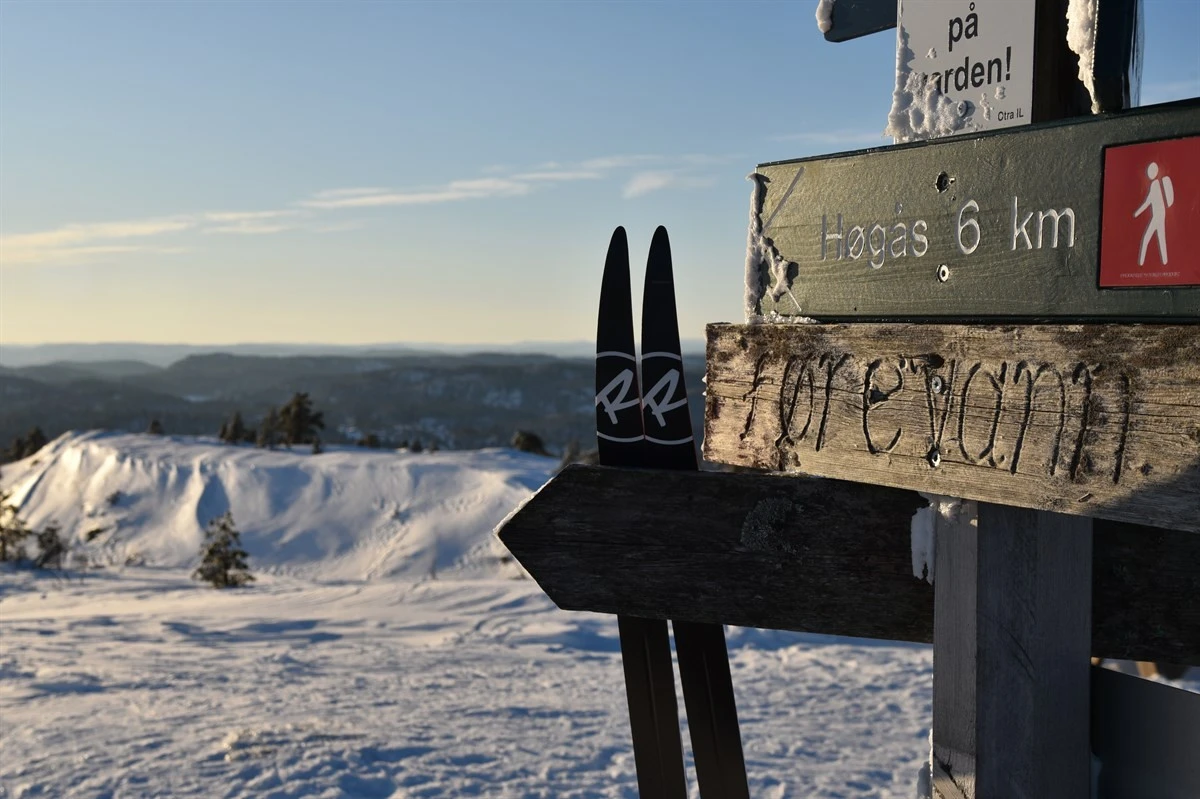 Fantastisk godt skiløypenett på Gautestad/ Høgås Galleribilde