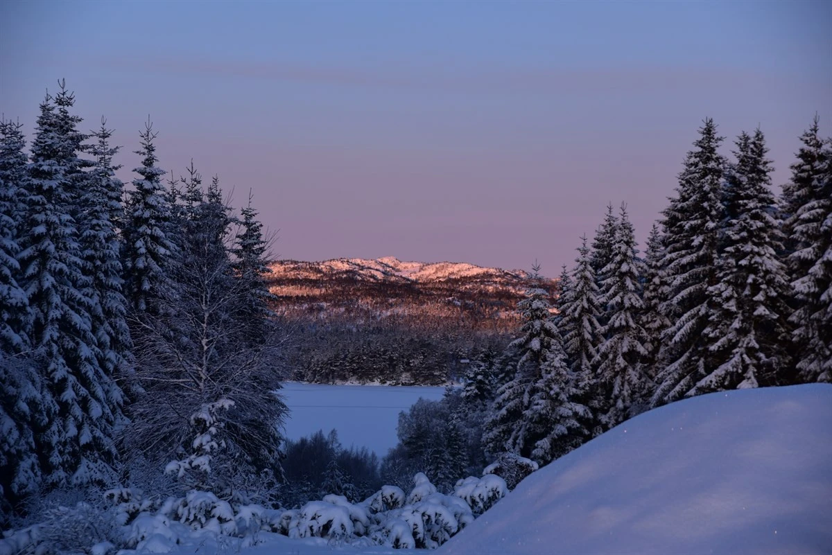 Utsikt fra området Galleribilde