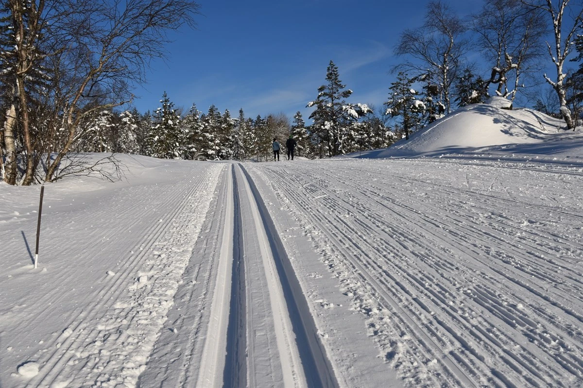 Mange mil med flotte skiløyper i nærområdet Galleribilde