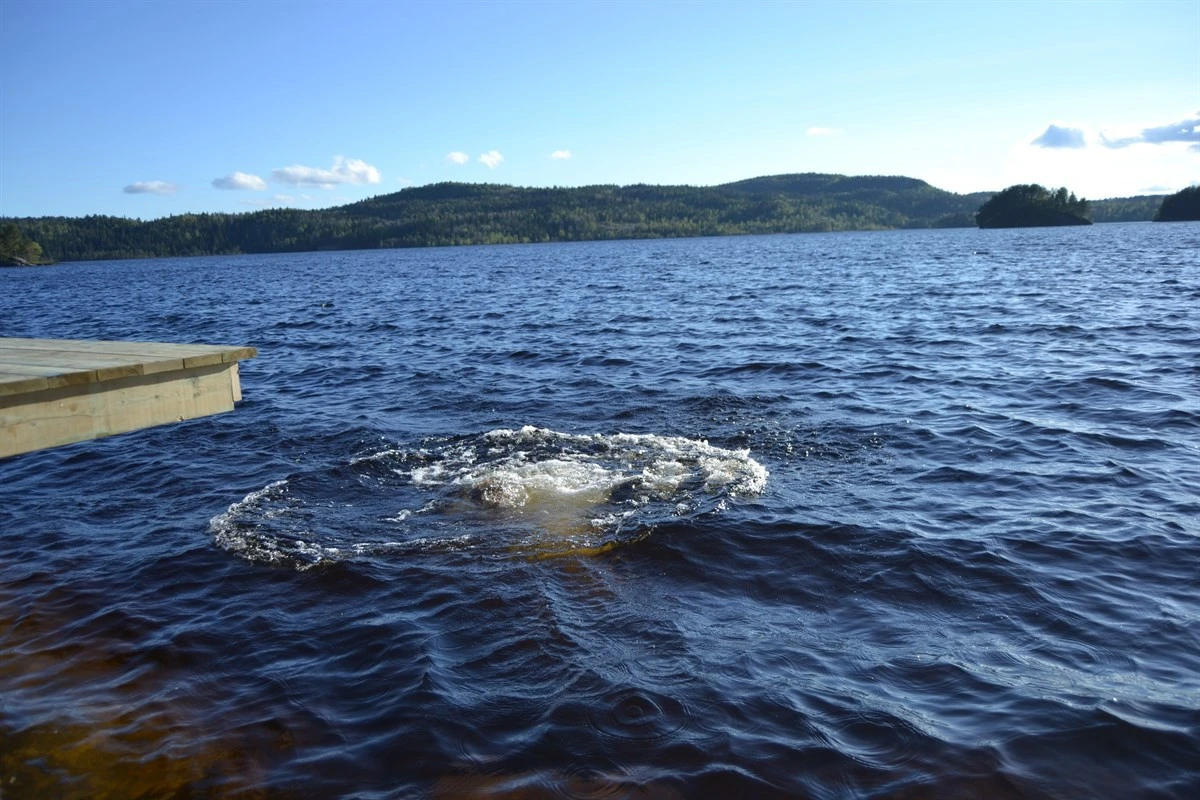 prospekt-srmegleren_38944695530_o Galleribilde