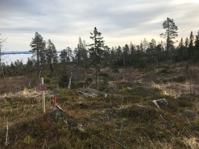 Tomt 138 Galleribilde