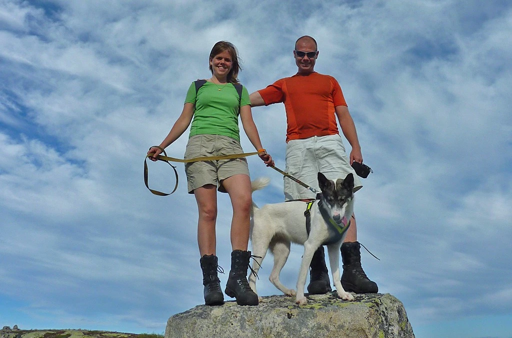 Tur med og uten firbente Galleribilde