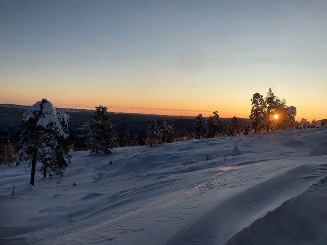 Snøsikkert og vakkert Galleribilde