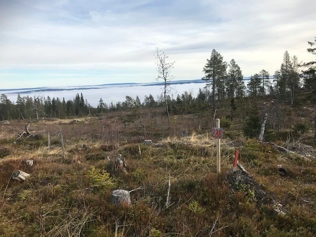 Tomt 138 Galleribilde