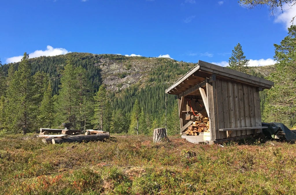 Flotte turmål Galleribilde